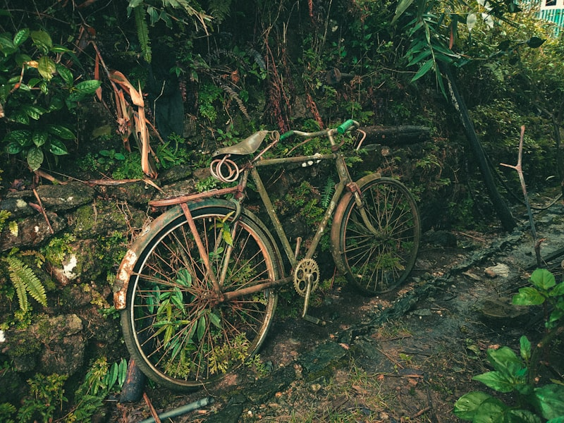 Forest cycling